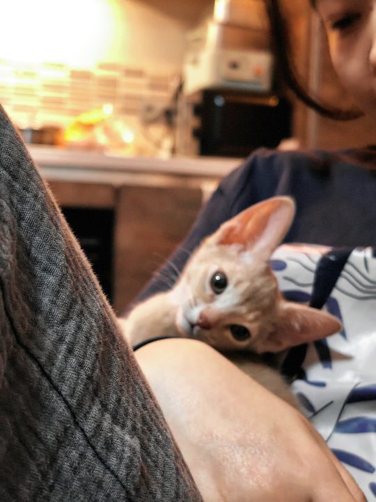 照片