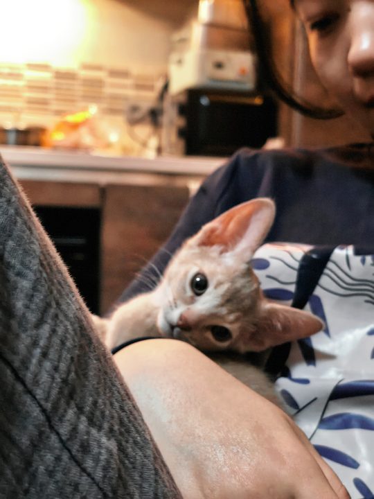 照片