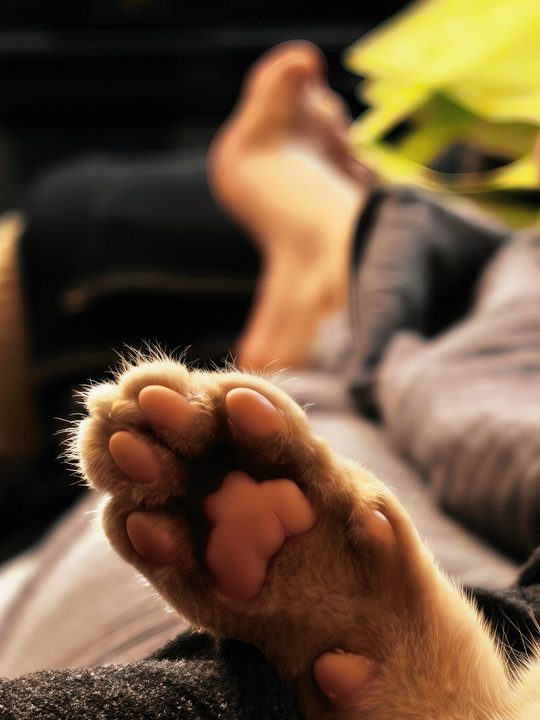 照片