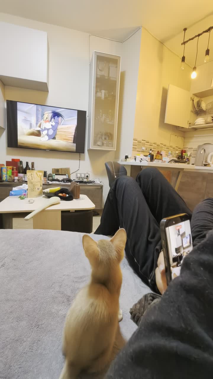 视频