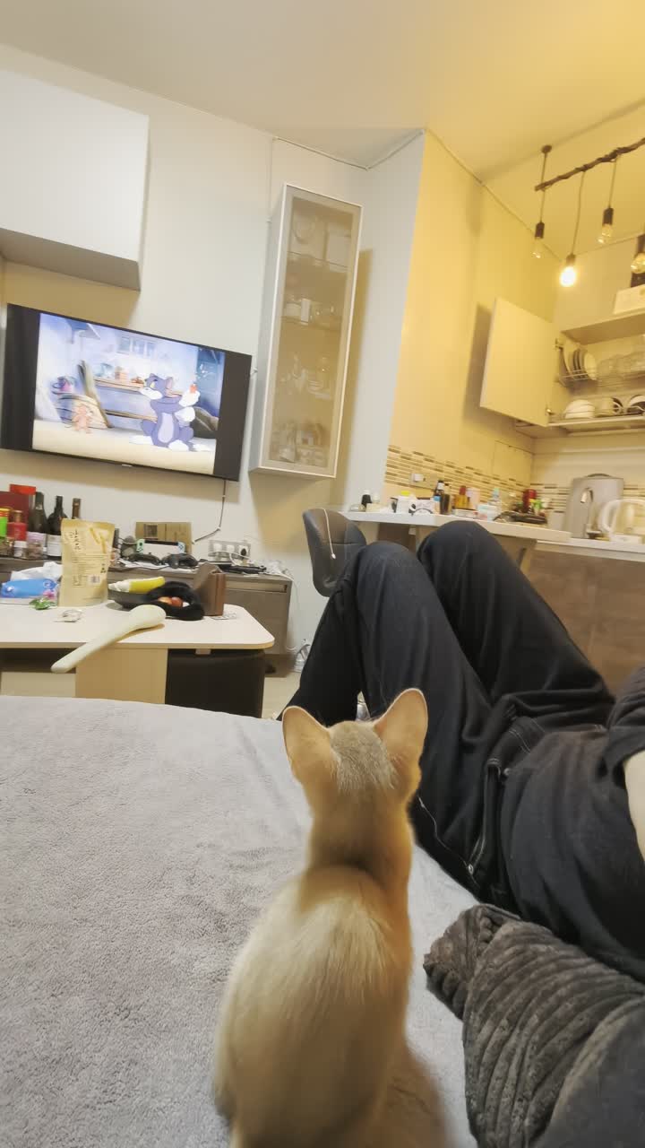 视频