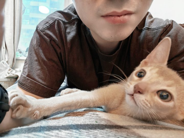 照片