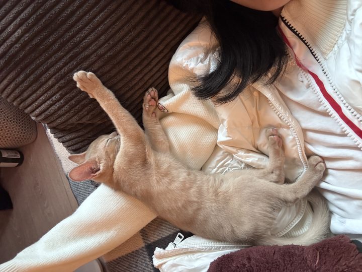 照片