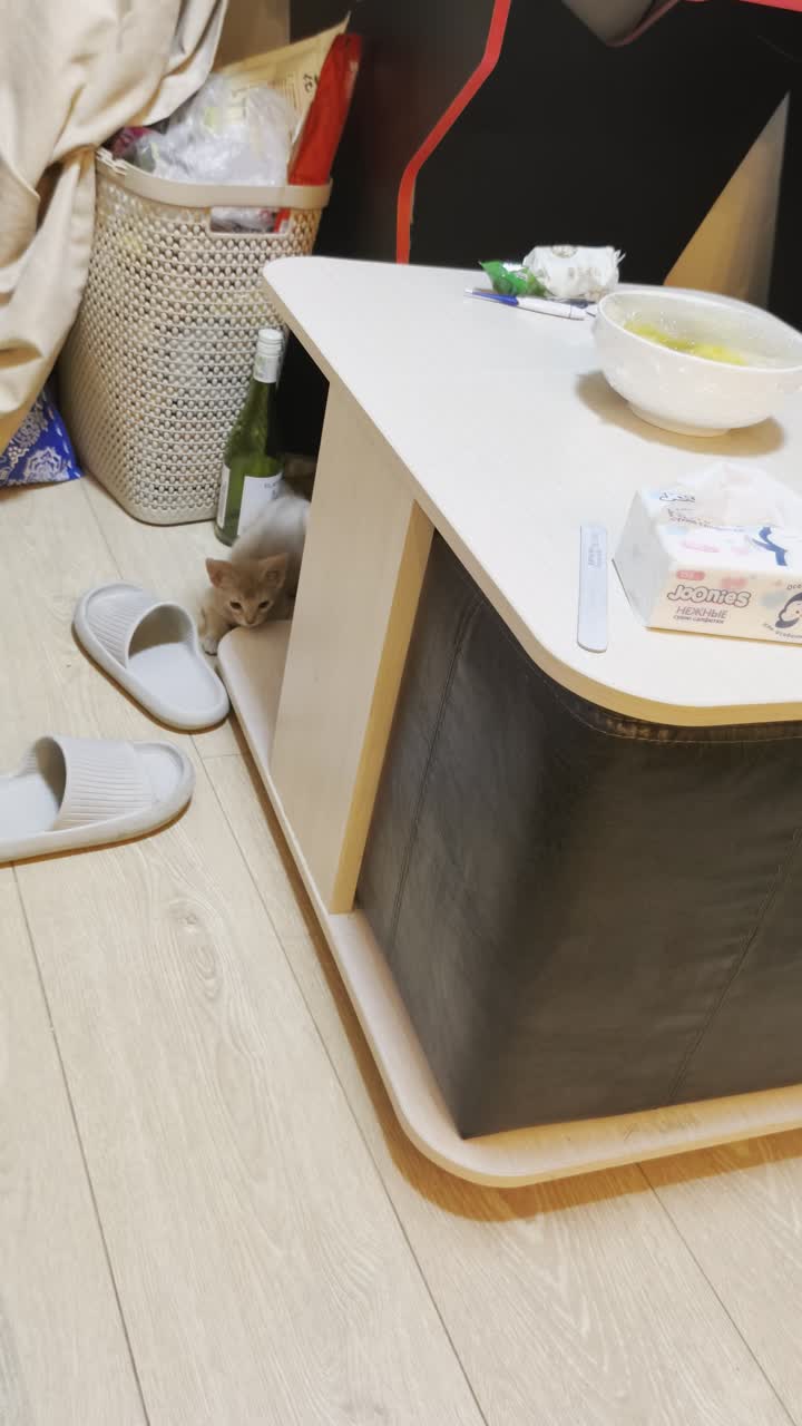 视频