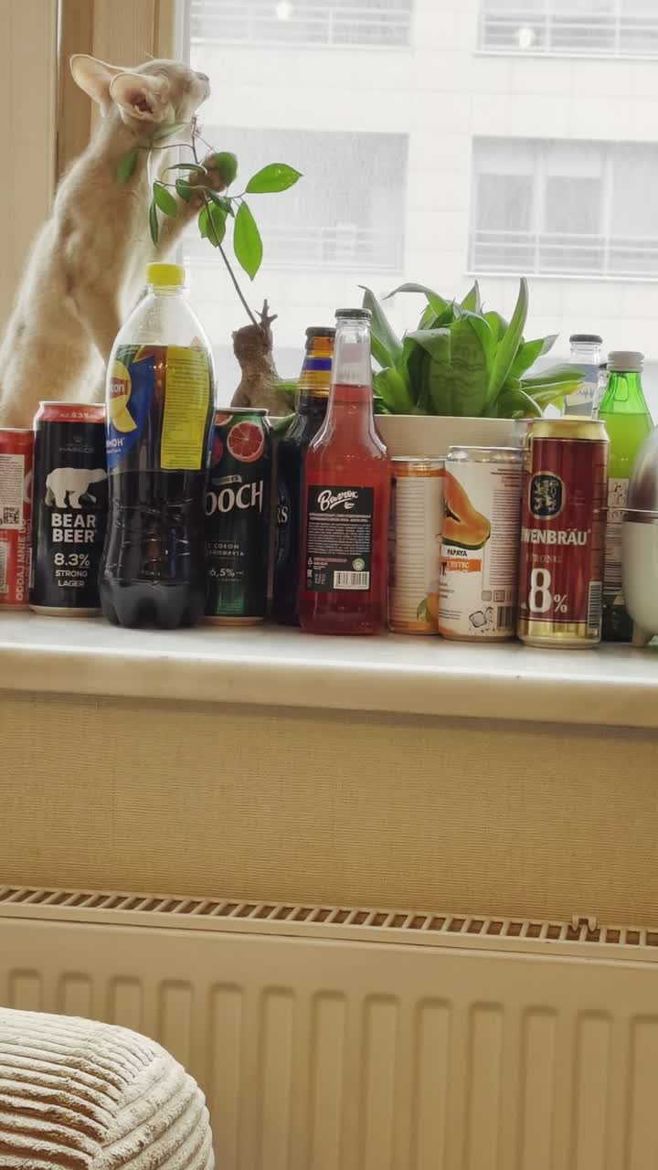 视频