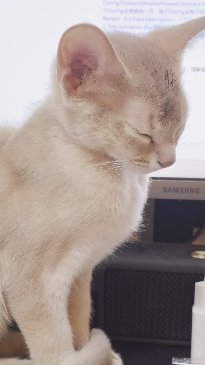 视频