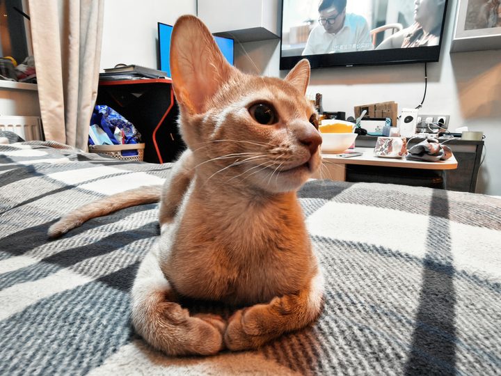 照片