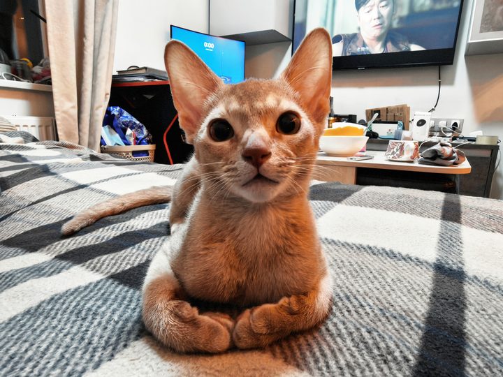 照片