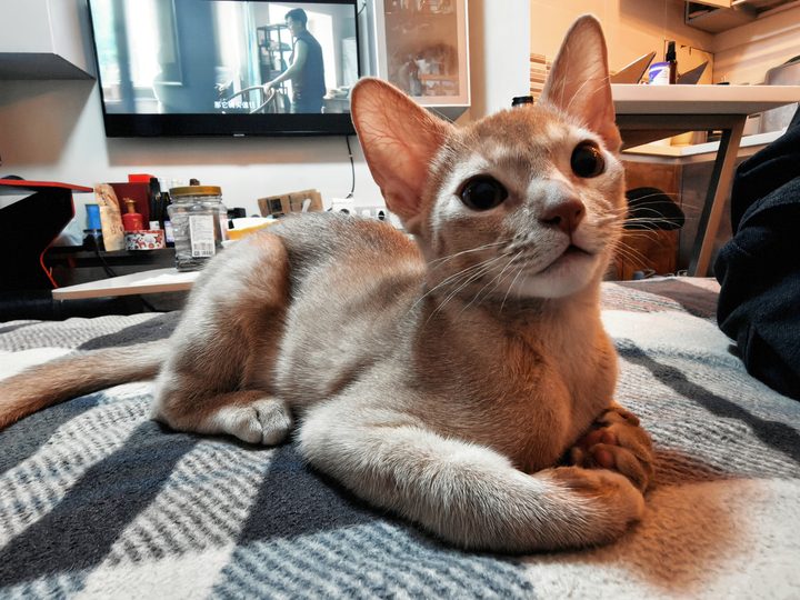 照片
