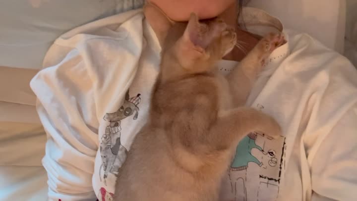 视频